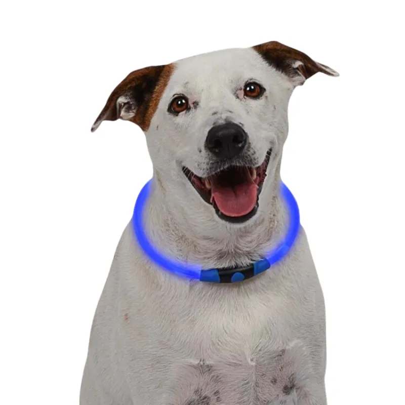 Adjustable Pet Dog LED Night Collar