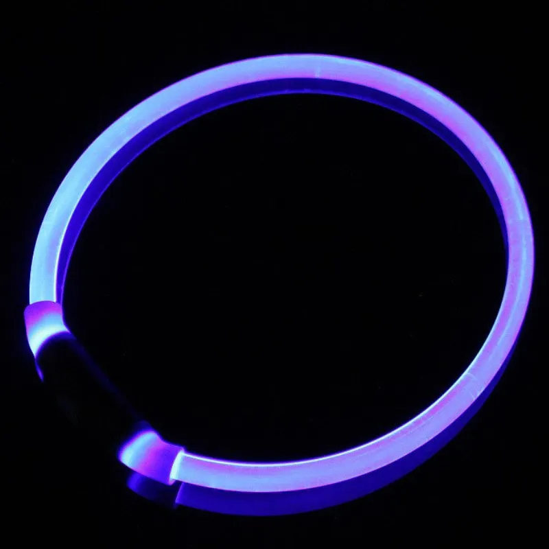 Adjustable Pet Dog LED Night Collar
