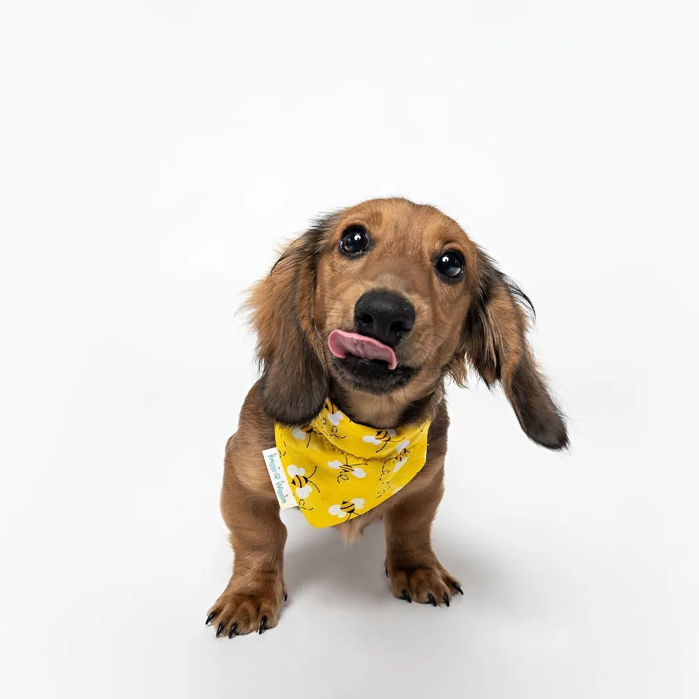 Buzzin' with Betty-Handmade Bee-Themed Dog Bandana