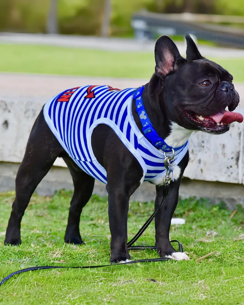 Captain Dog Tank Top in Blue & White Stripe (FINAL SALE)