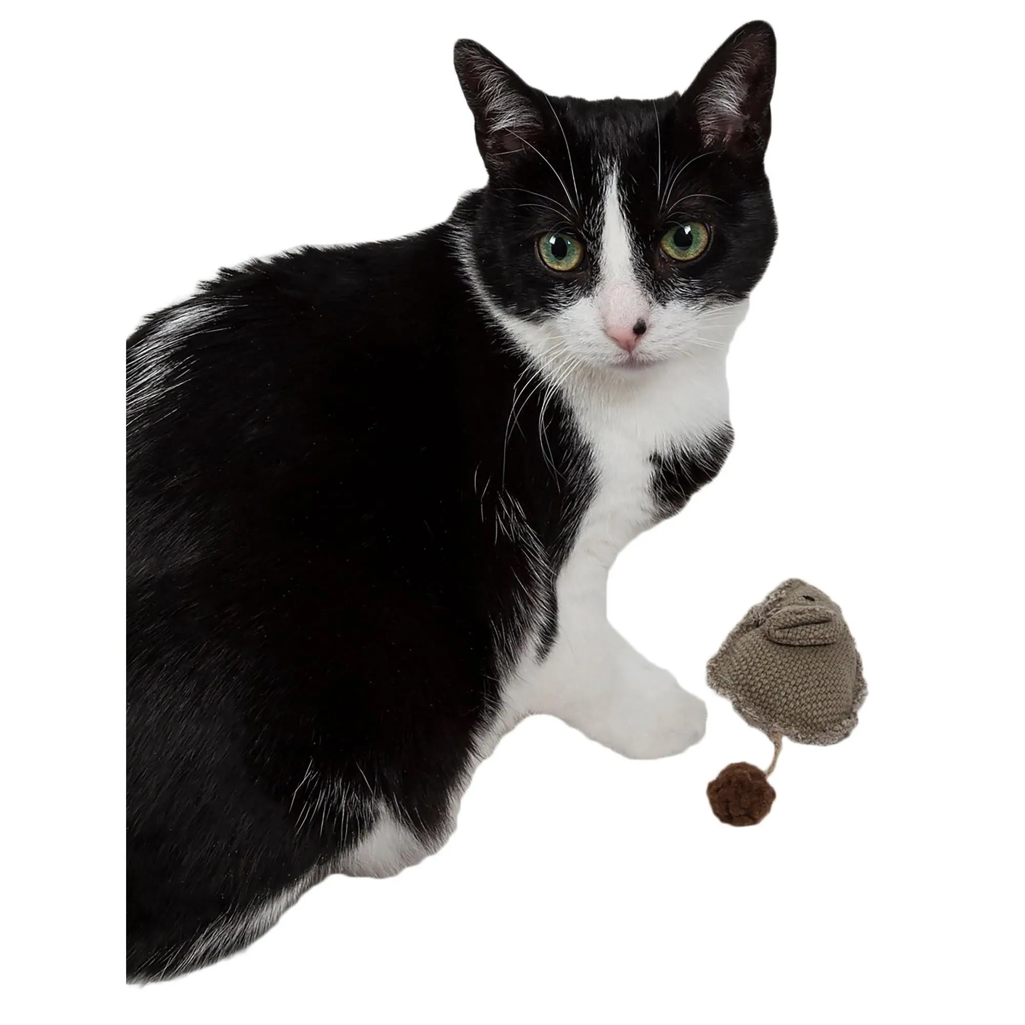 Catnip Plush Toy with Pom-Pom Tail Playtime