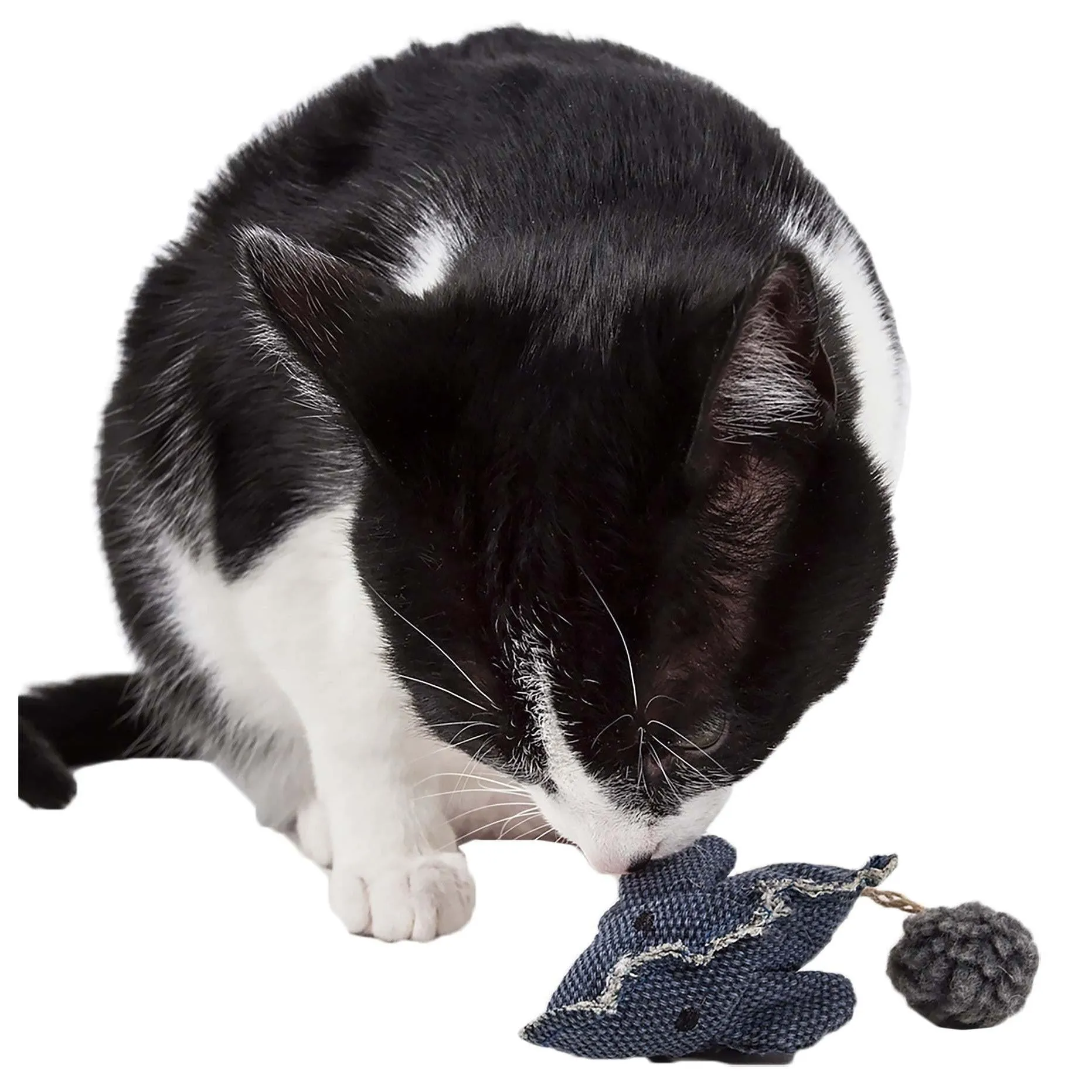 Catnip Plush Toy with Pom-Pom Tail Playtime