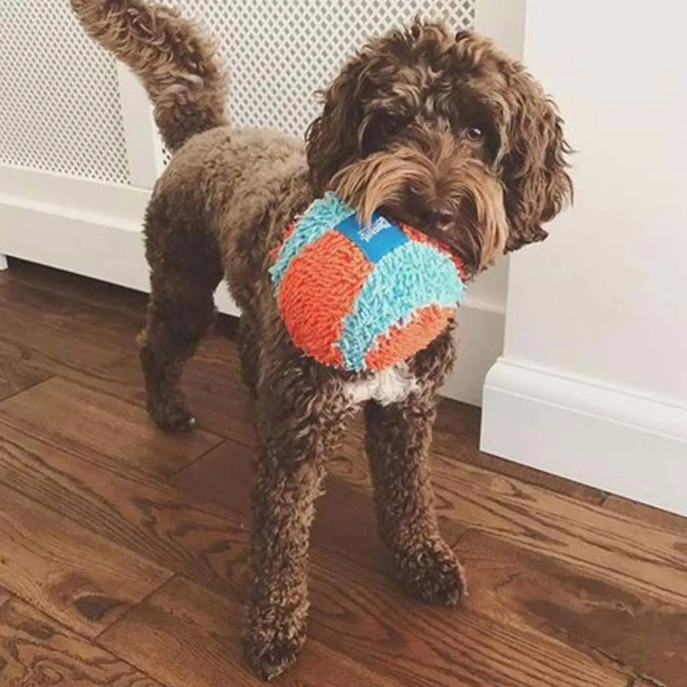 Chuckit Indoor Play Ball