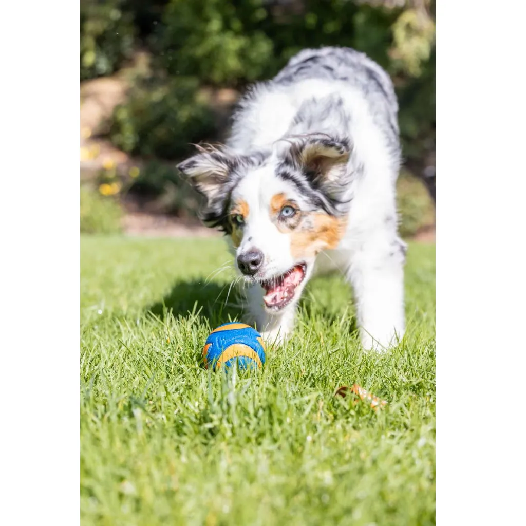Chuckit! Ultra Squeaker Ball Toy For Dogs, Small (2 pack)