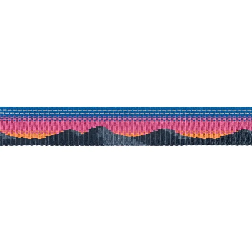 Crag Reflective Leash