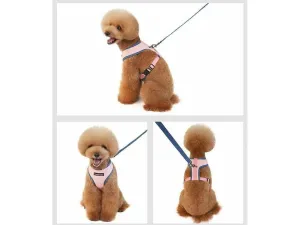dog harness Beige M KLN19084C