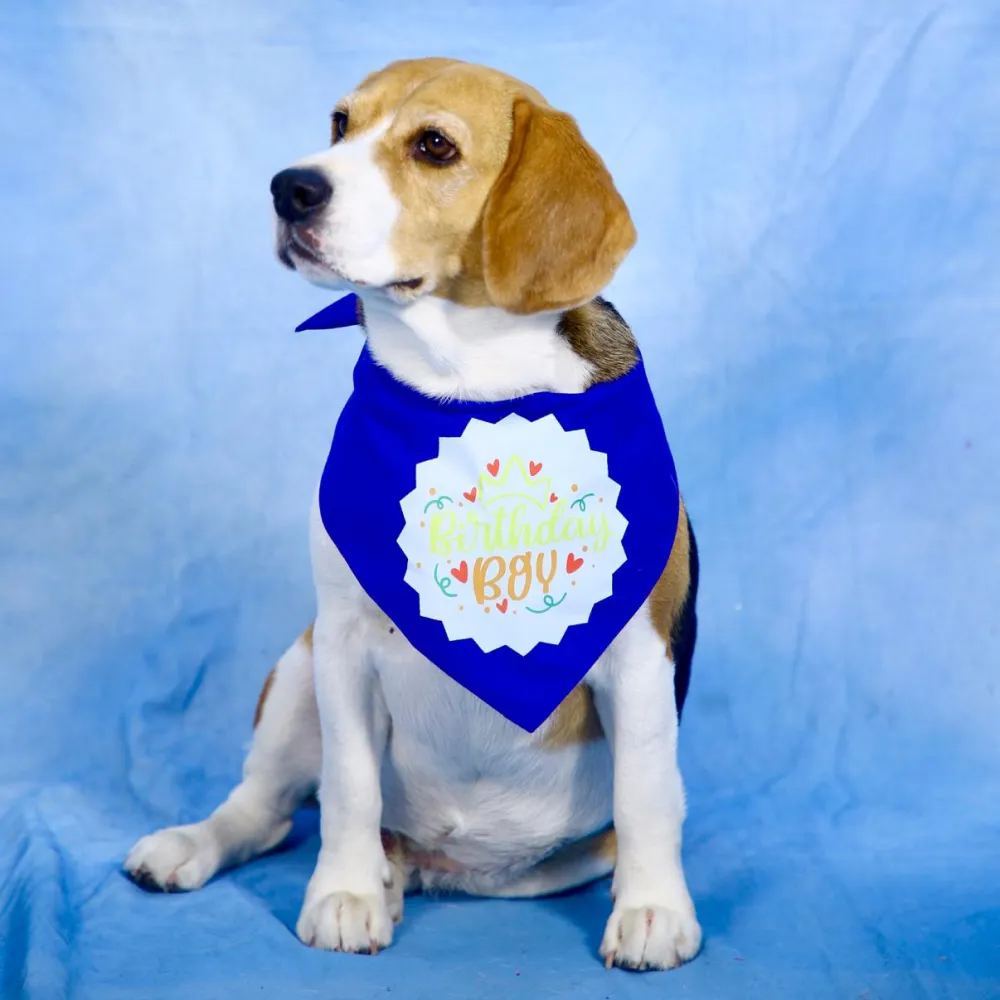 Dogobow Birthday Boy Bandana for Dogs (Blue)