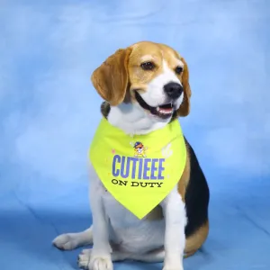 Dogobow Cutie on Duty Bandana for Dogs (Yellow)