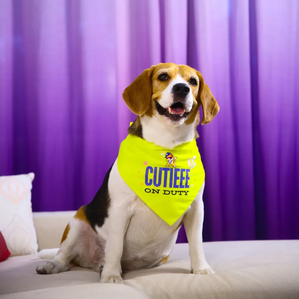 Dogobow Cutie on Duty Bandana for Dogs (Yellow)