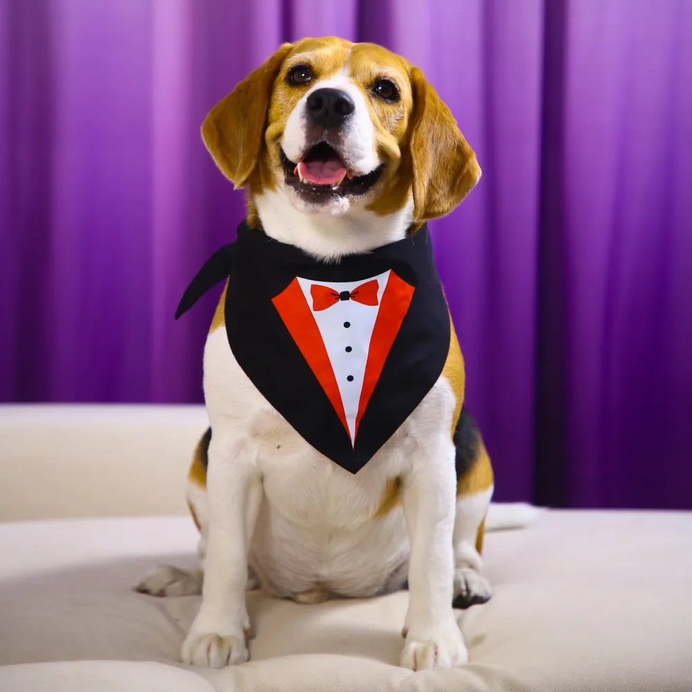 Dogobow Tuxedo Printed Bandana for Dogs (Black/White)