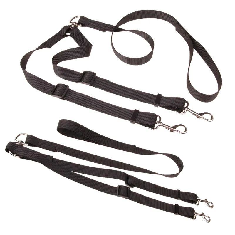 Double Dog Leash