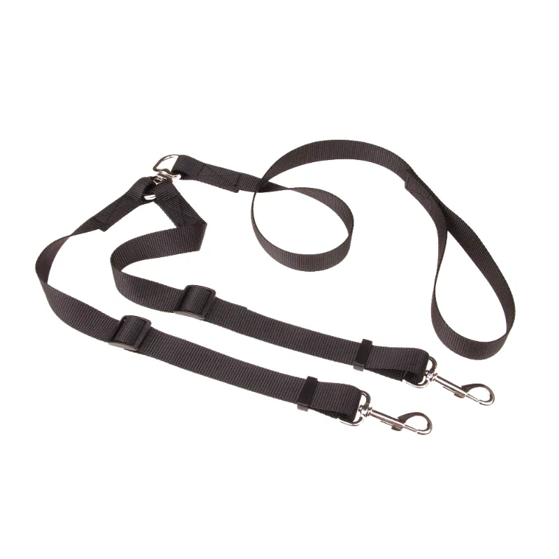 Double Dog Leash