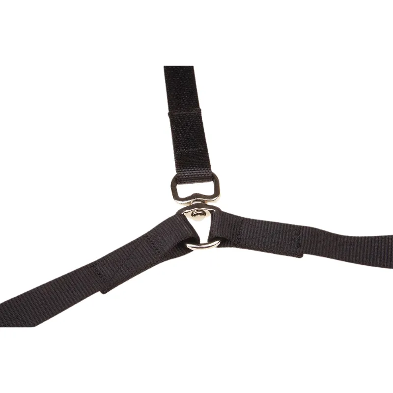 Double Dog Leash