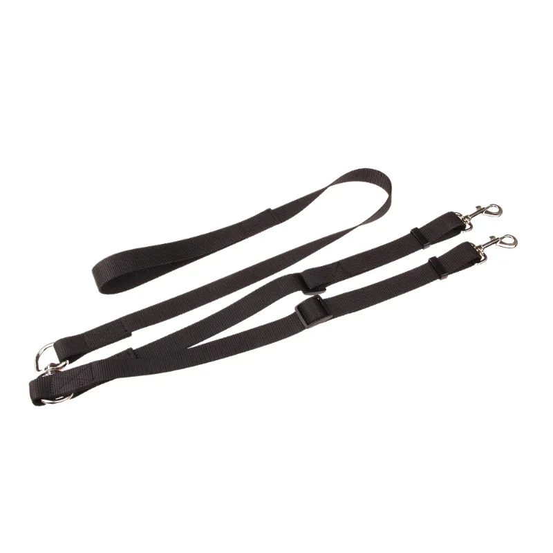 Double Dog Leash
