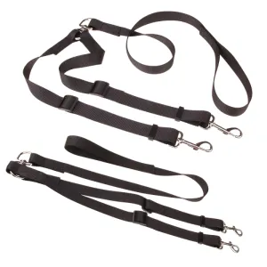 Double Dog Leash