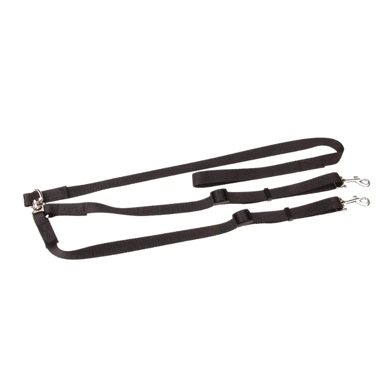 Double Dog Leash