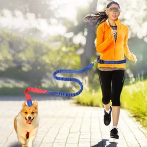 Free Hand Running Dog Belt
