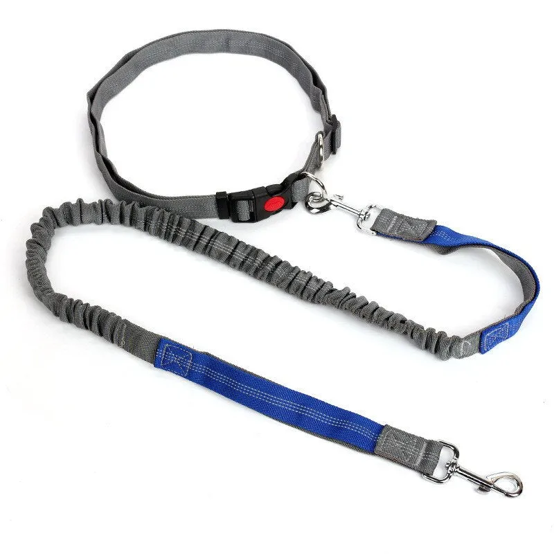 Free Hand Running Dog Belt