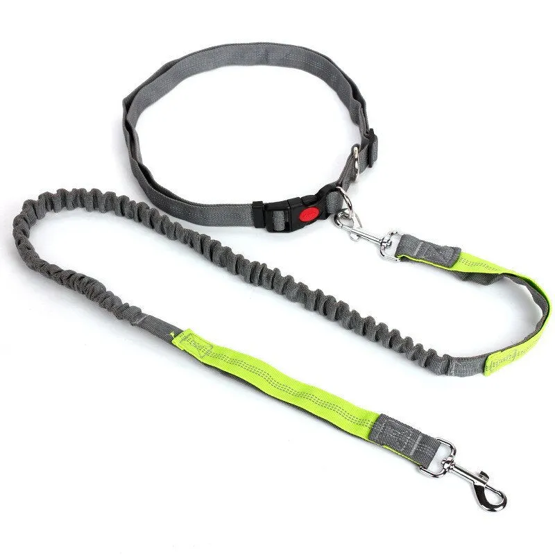 Free Hand Running Dog Belt