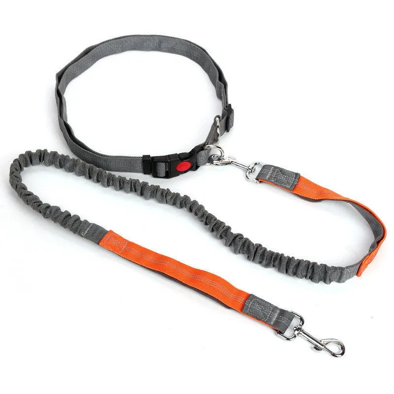 Free Hand Running Dog Belt