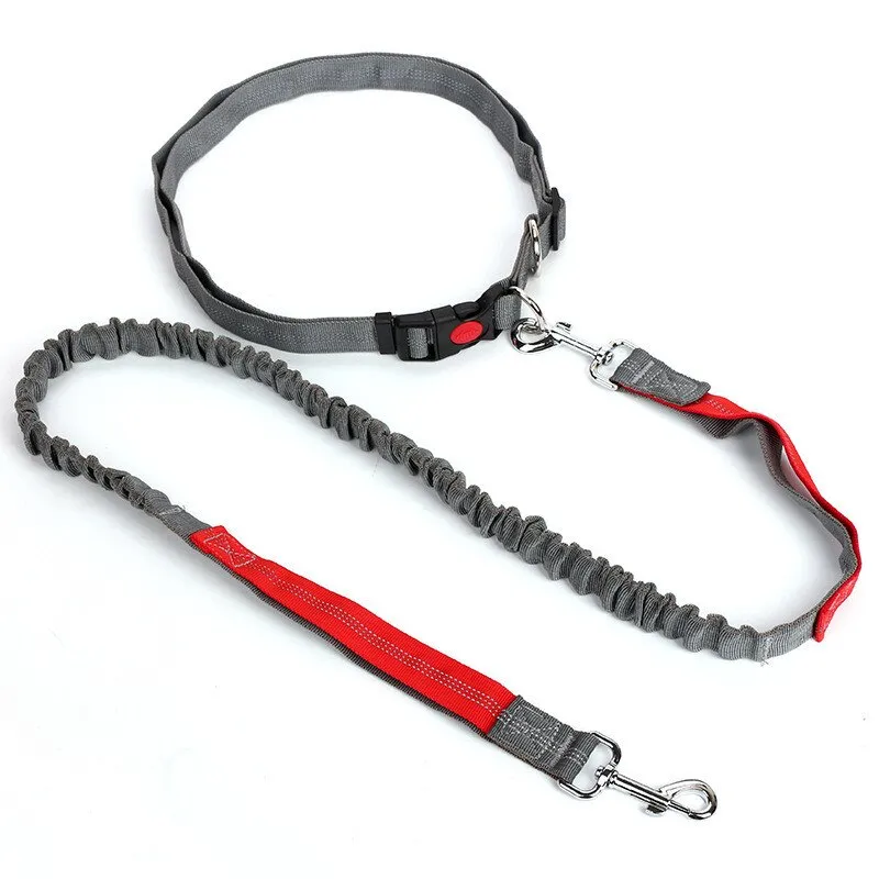 Free Hand Running Dog Belt