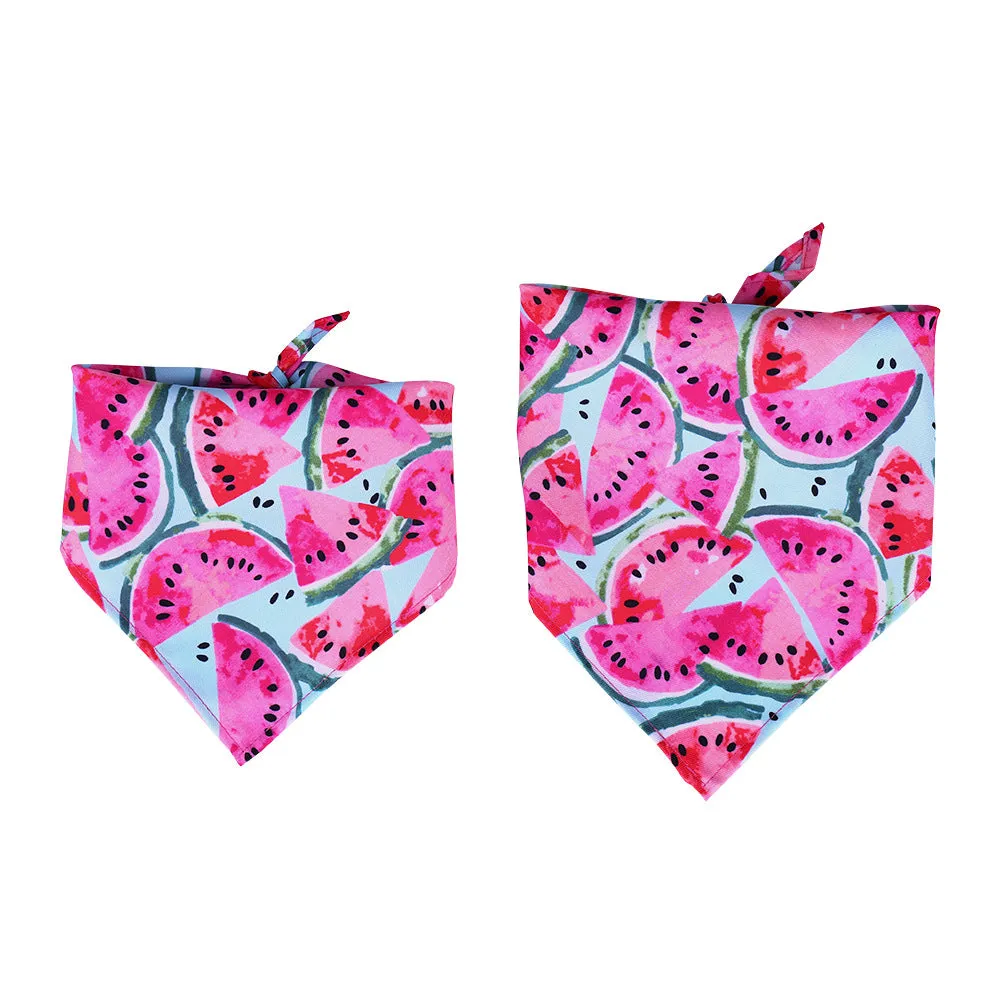 Furbud - Summer Pet Bandana