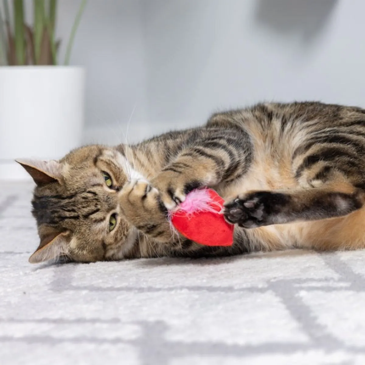 Huxley & Kent First Lick Heart & Be Mine Coffee 2Pk Cat Toy