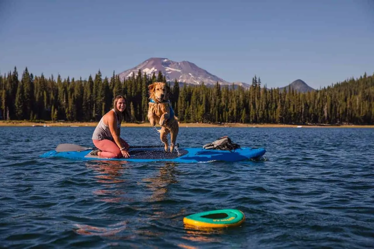 Hydro Plane Dog Toy - Floating, Foam Disc