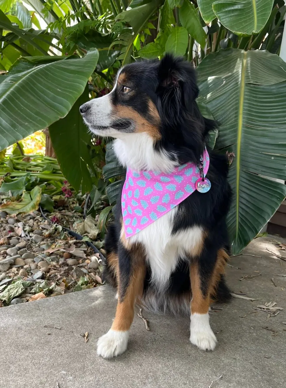 Islands Cooling Bandana