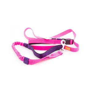 Kanu Pet Sport Fuchsia Dogs Leash