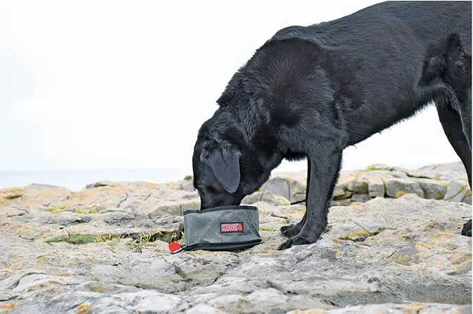 KONG Fold Up Travel Bowl