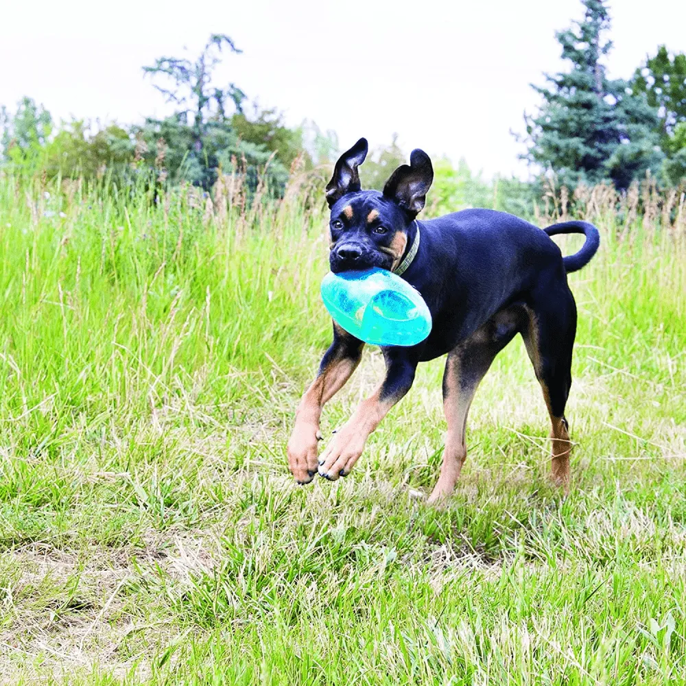 Kong Jumbler Football Toy for Dogs (Red)