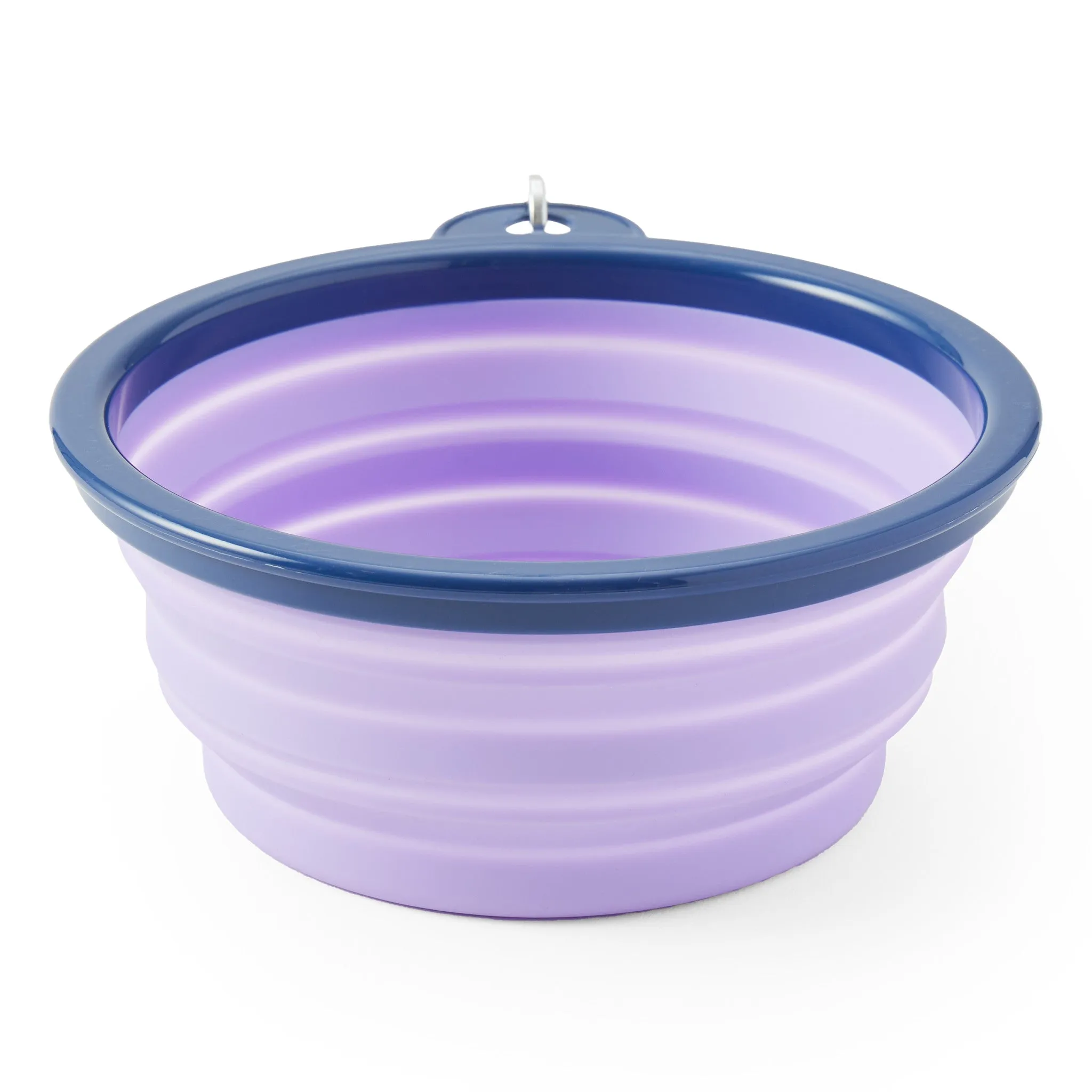 LIG Daisy Silicone Travel Dog Bowl
