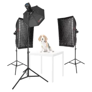 LUMI200II  Three-Head Pet Portrait Photography Kit