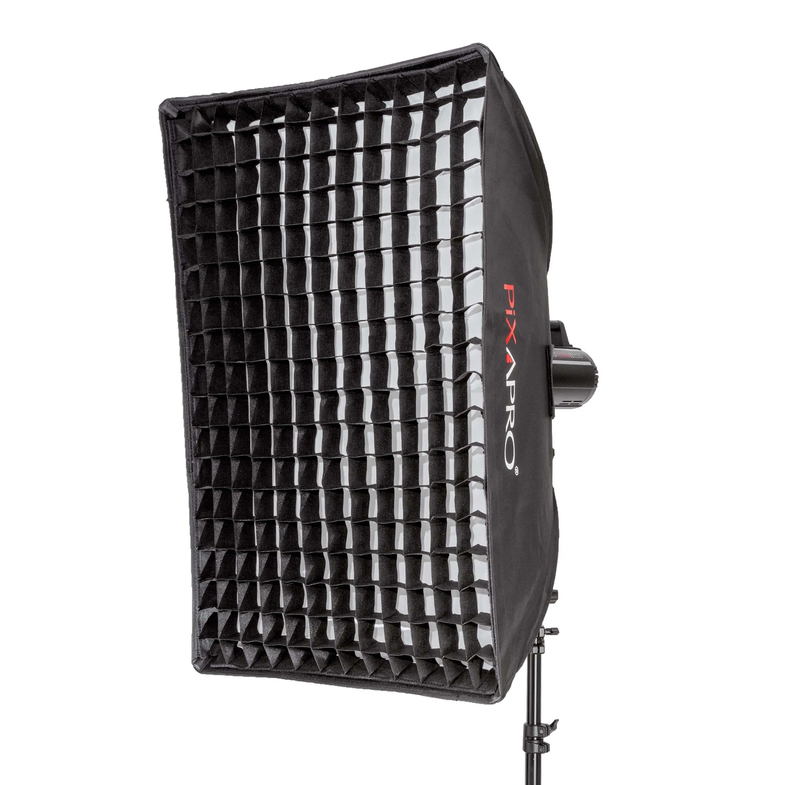 LUMI200II  Three-Head Pet Portrait Photography Kit