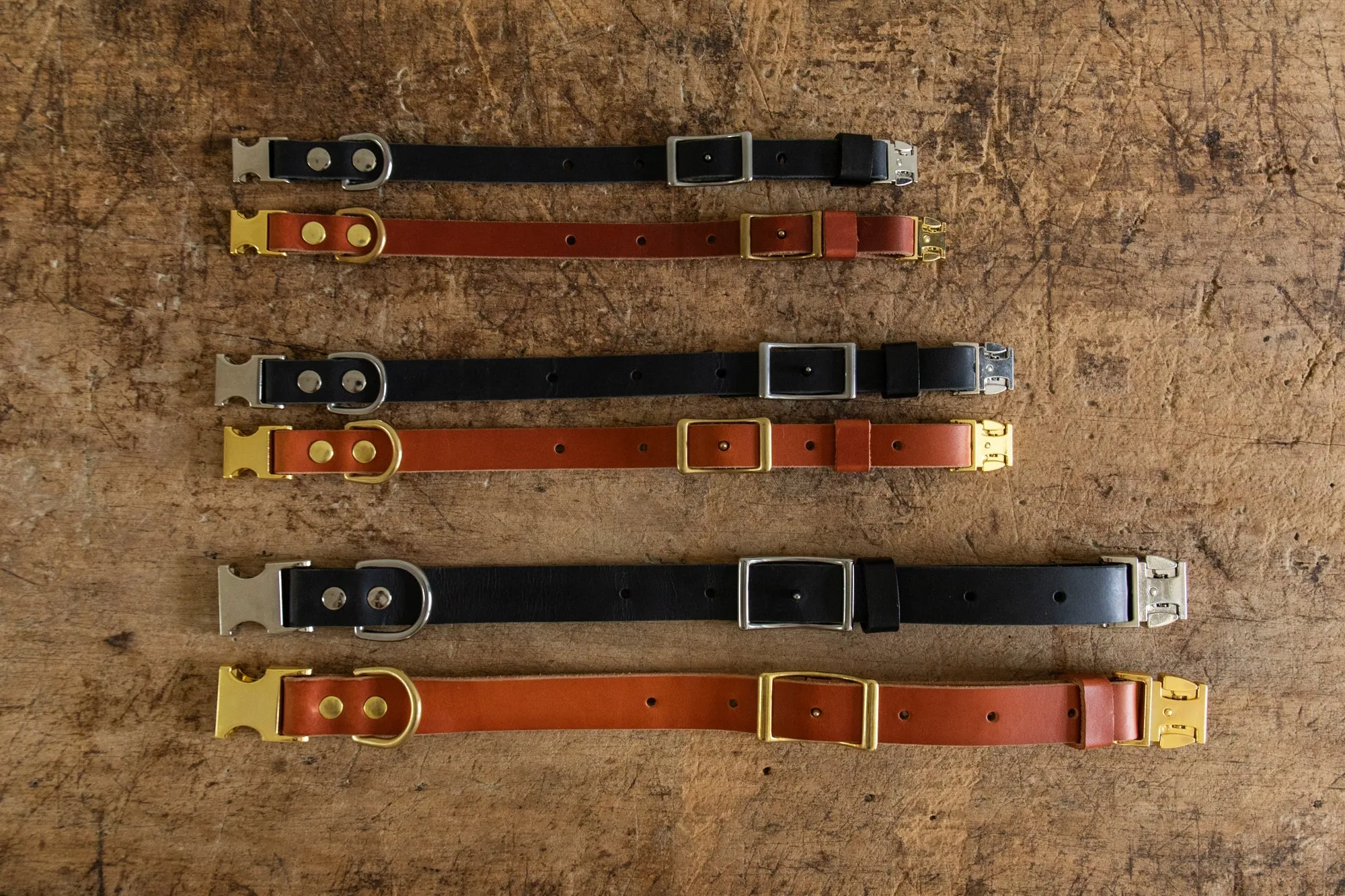 Nickey Kehoe Dog Collar - Black (Multiple Sizes)