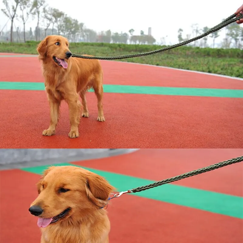 Nylon Dog Plaid Leash