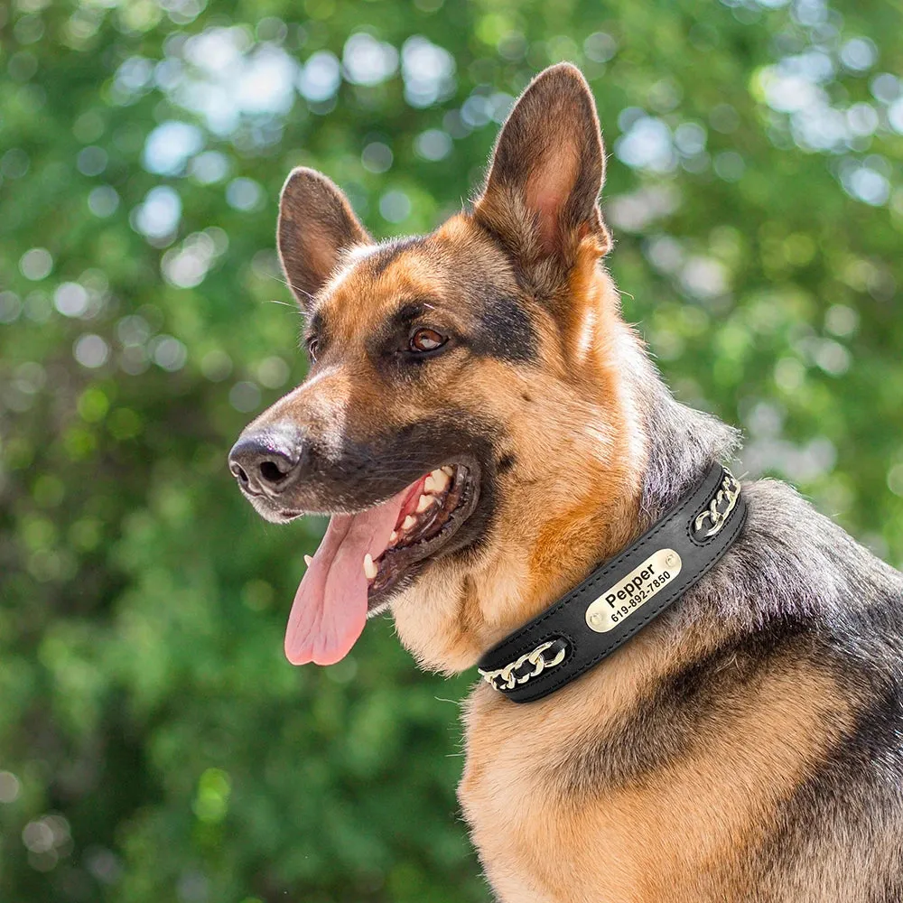 Personalized Durable Leather Dogs ID Collars | Anti-lost Name Tag Chain Accessories for Small Medium Large Dogs