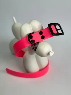 Pet Collar - XS - Ultra Pink