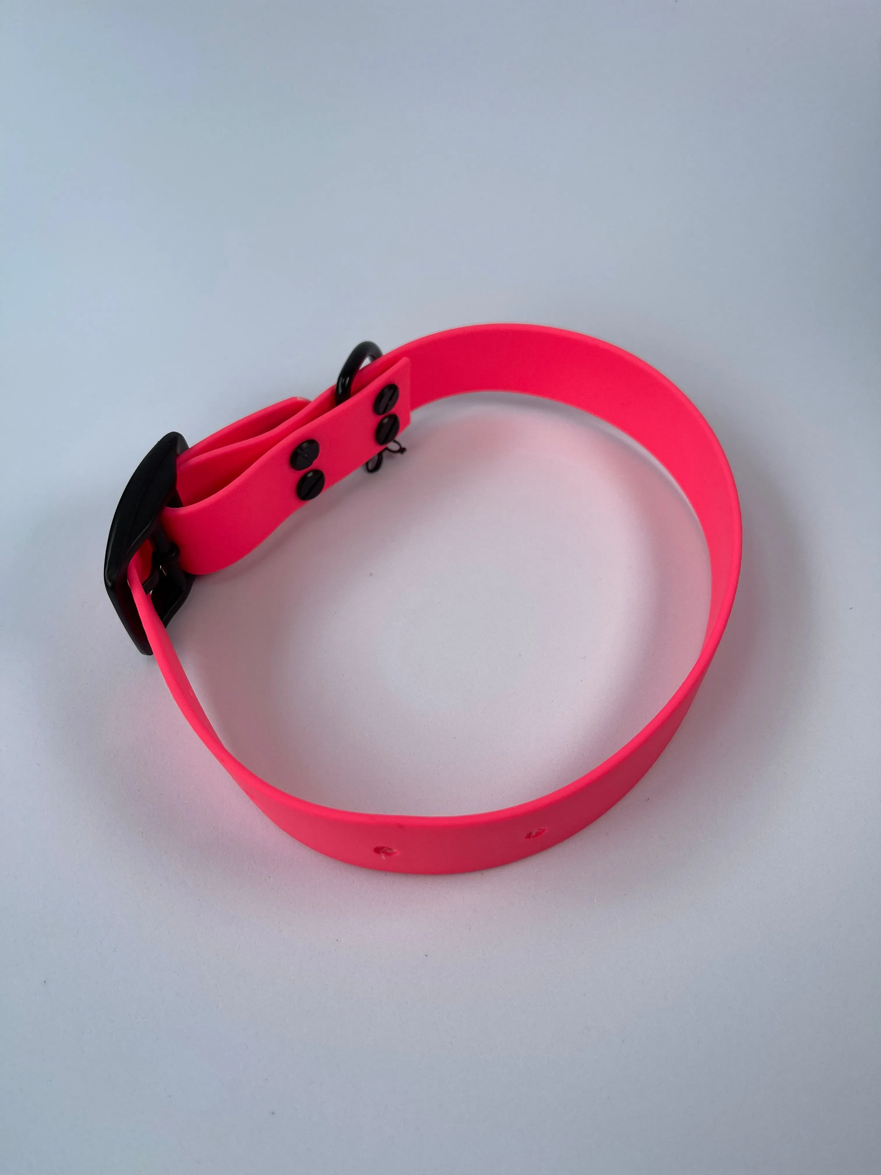 Pet Collar - XS - Ultra Pink
