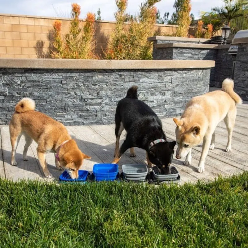 Petique, Portabowl Water and Food Bowl