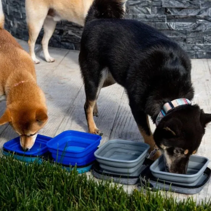 Petique, Portabowl Water and Food Bowl