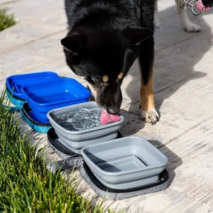 Petique, Portabowl Water and Food Bowl