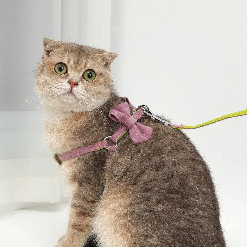 Puppy Dogs Collar And Leash Set