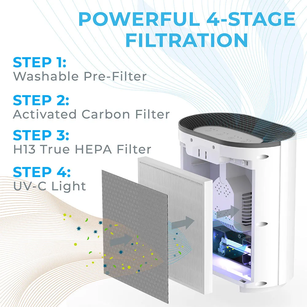 PureZone™ Mini & True HEPA Air Purifier Bundle