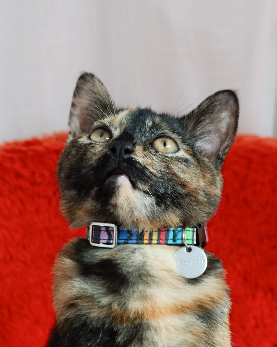 Rainbow Stripe Breakaway Cat Collar