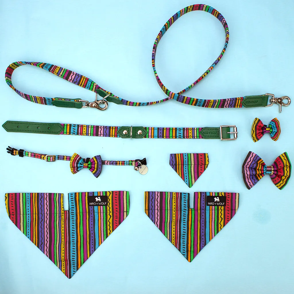Rainbow Stripe Breakaway Cat Collar