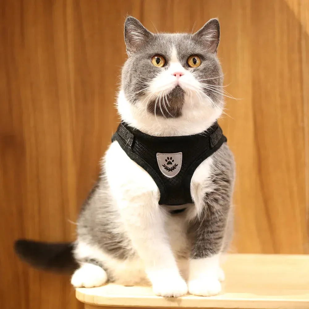 Reflective Mesh Cat Harness and Leash Set – Adjustable, Escape-Proof, for Small Pets