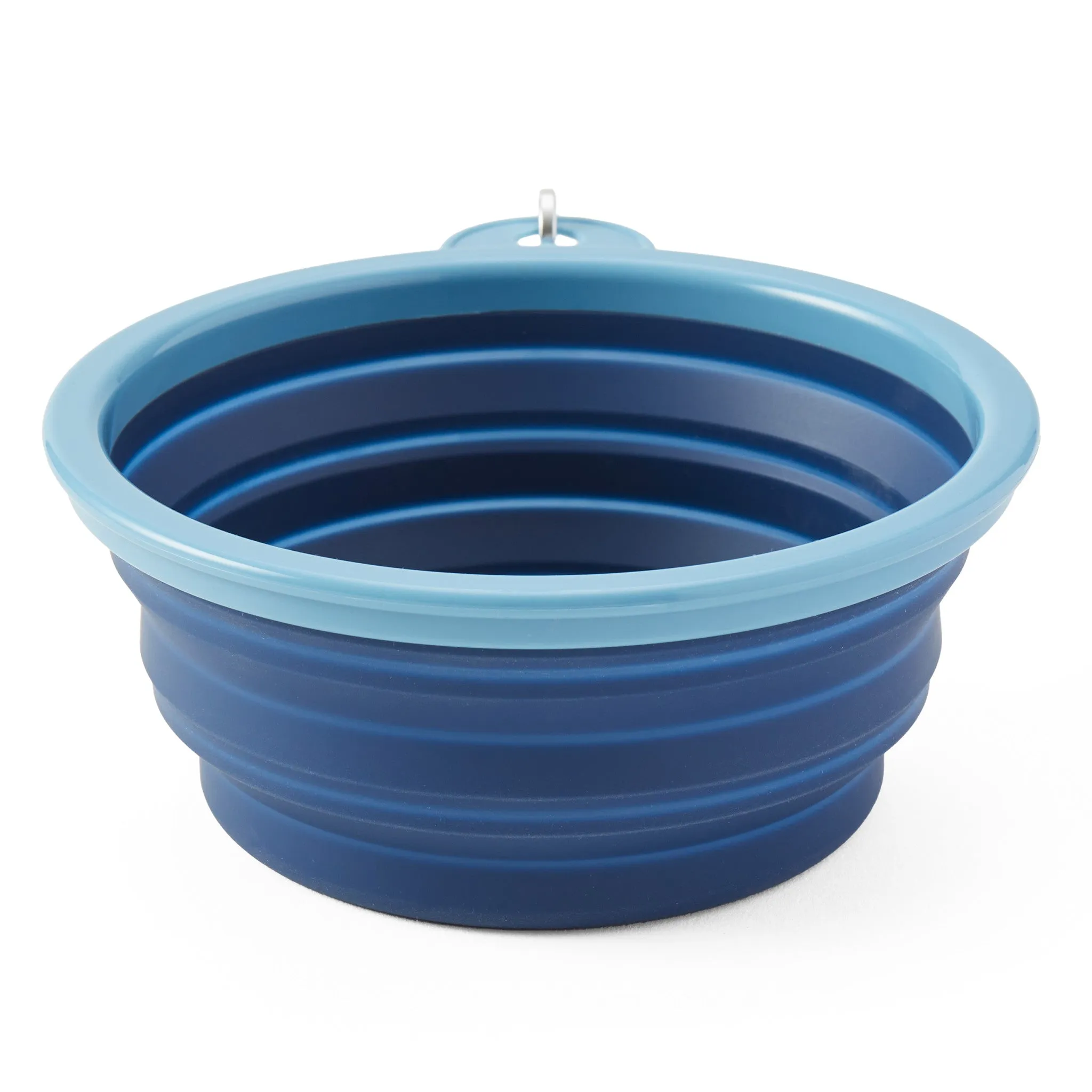 Rocket with Bone Silicone Travel Dog Bowl