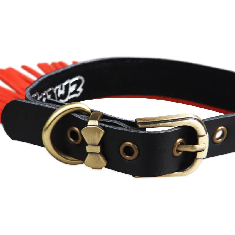 Stylish Orange Tassel Collar For Pet - A018